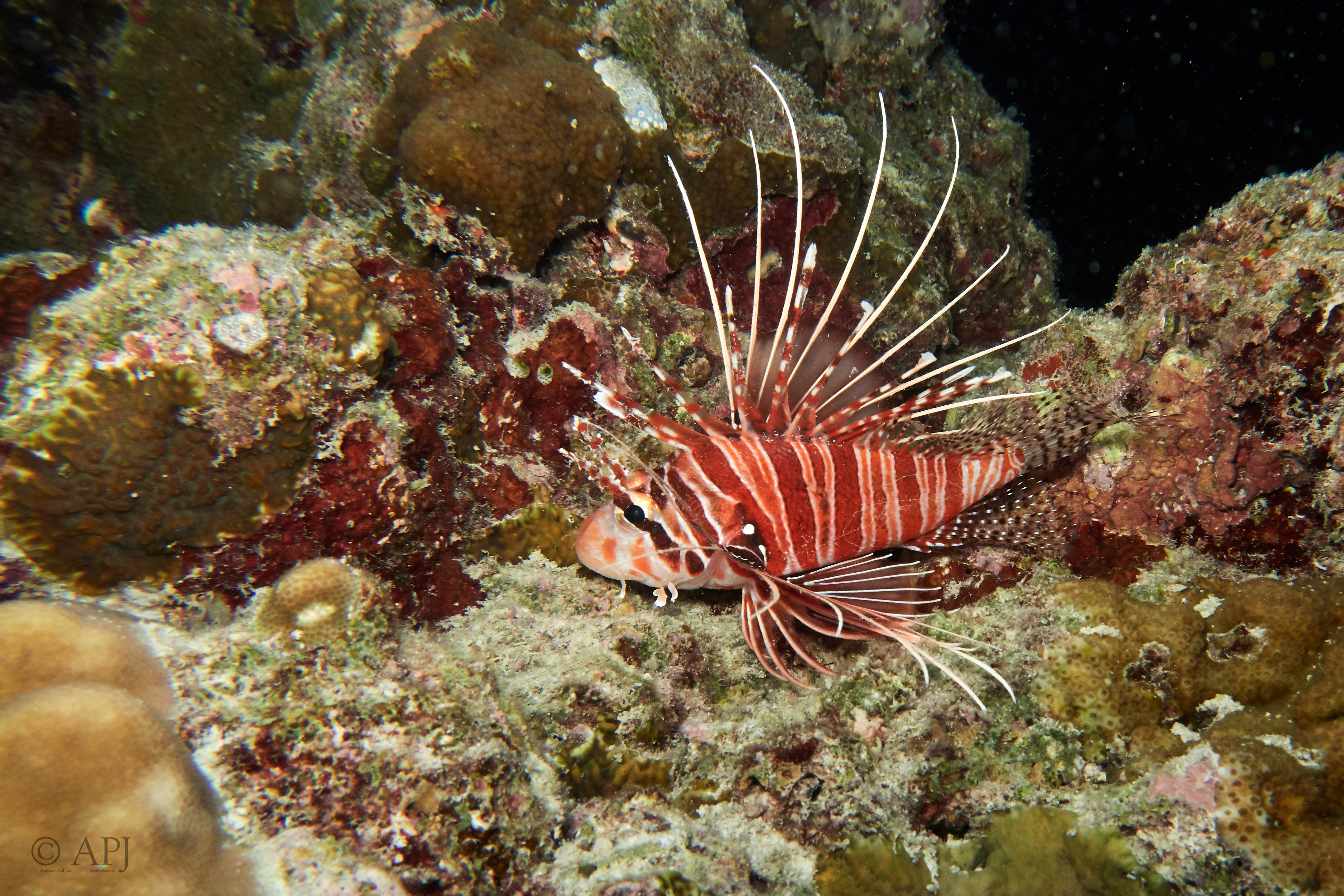 000886 15 08 17  Canon PowerShot G7 X Mark II   Malediven2017